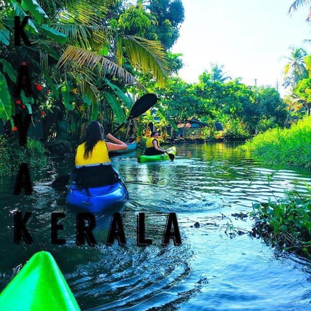 Aham Yoga Nest Bed & Breakfast Alappuzha Luaran gambar
